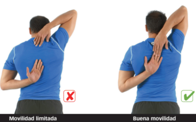Evalúa la movilidad de tus hombros